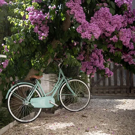 Luxury - Casa Dell'artista شقة