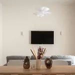 Luxury - Casa Dell'artista